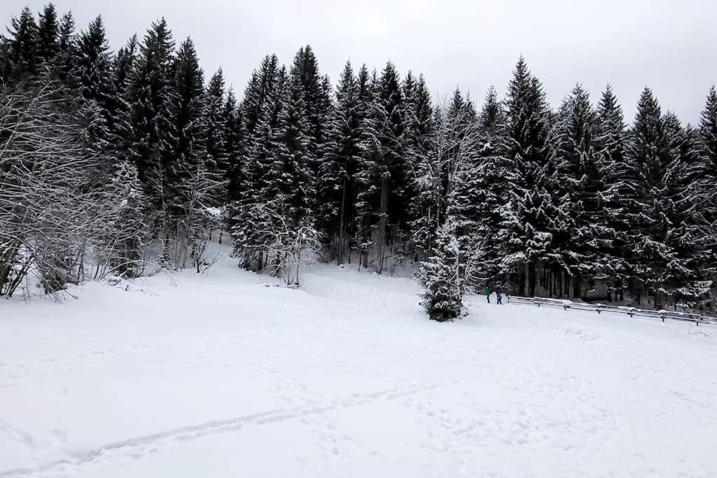 Cocon A Châtel Eksteriør billede